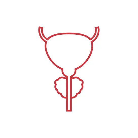 Prostata e vie urinarie